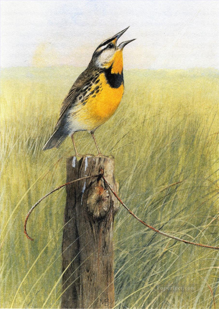 bird in grassland Oil Paintings